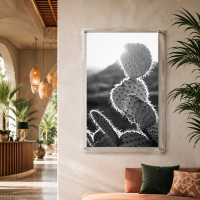 Prickly Business Acrylic Wall Art Print