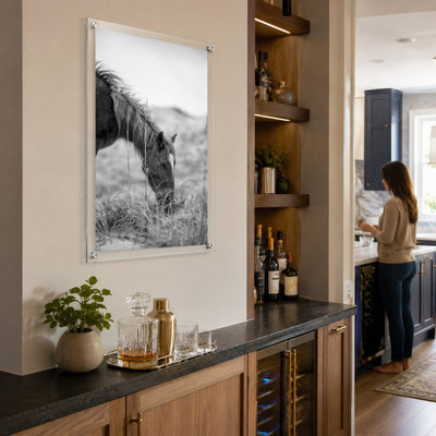 Hay There black and white wall art with a peaceful horse scene in a home bar