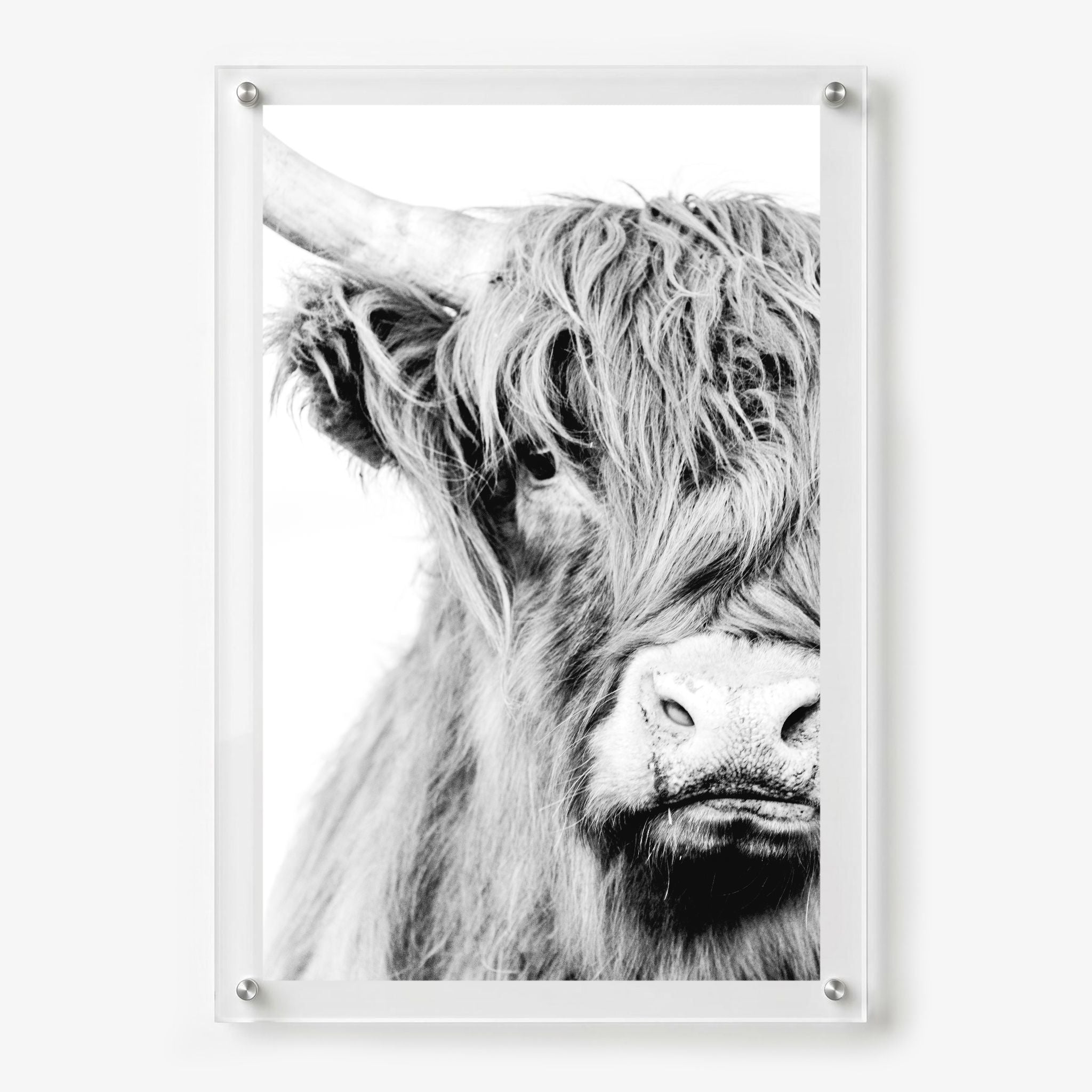 Fringe Benefits Acrylic Wall Art Print