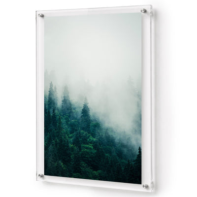 Forest on Mute Acrylic Wall Art Print
