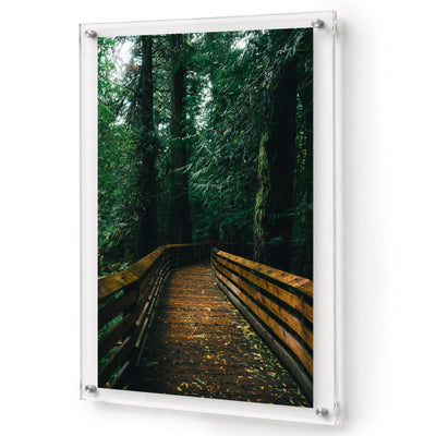 Into the Green Room Acrylic Wall Art Print