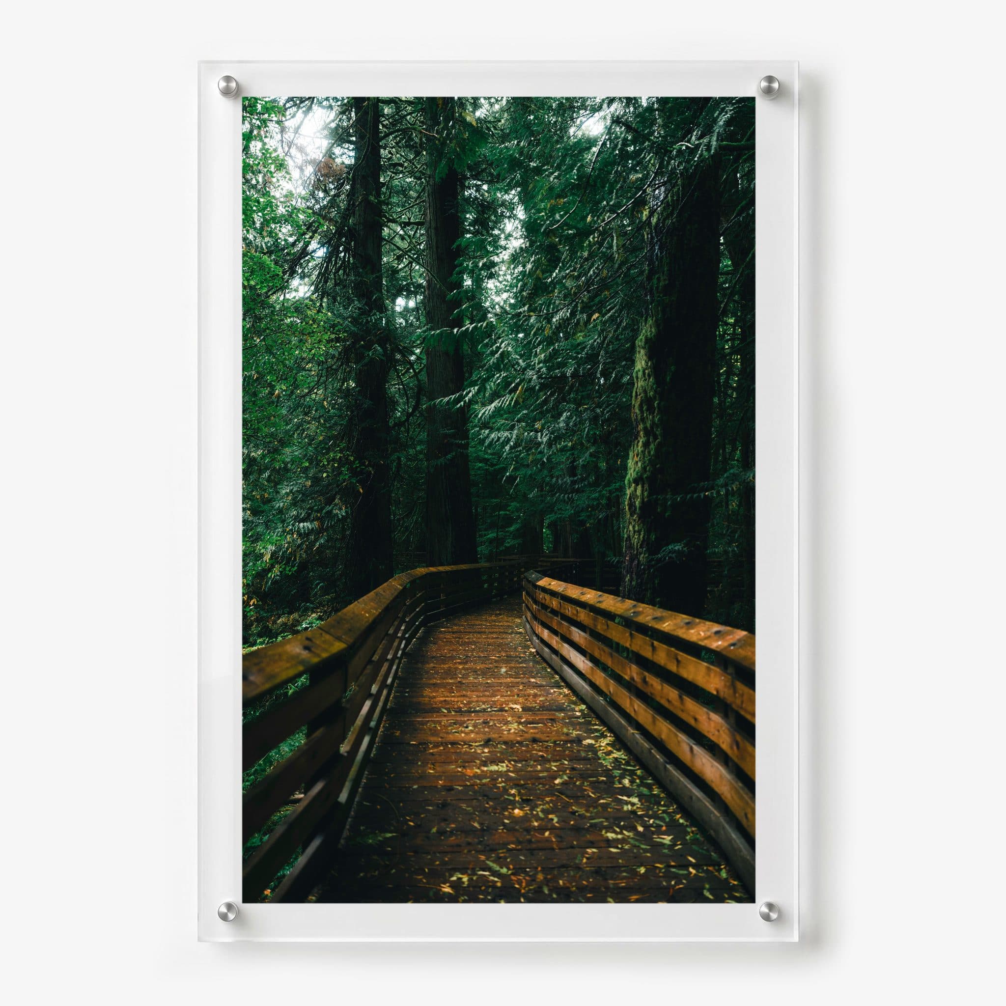 Into the Green Room Acrylic Wall Art Print