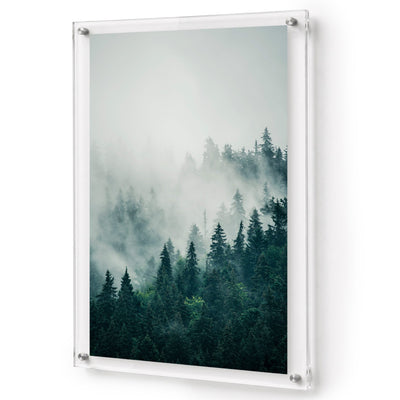 Pine & Seek acrylic wall art featuring a misty evergreen forest