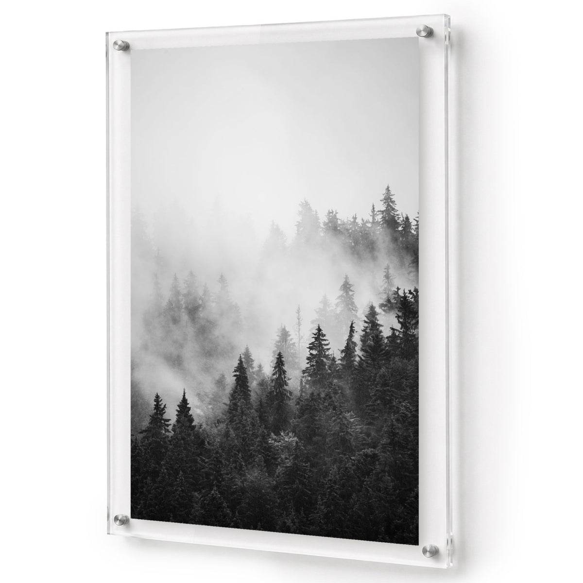 Pine & Seek Black & White Acrylic Wall Art Print