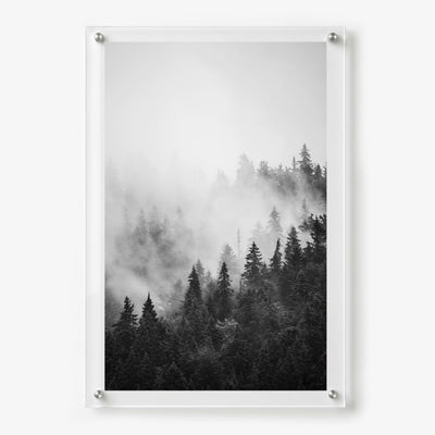 Pine & Seek Black & White Acrylic Wall Art Print
