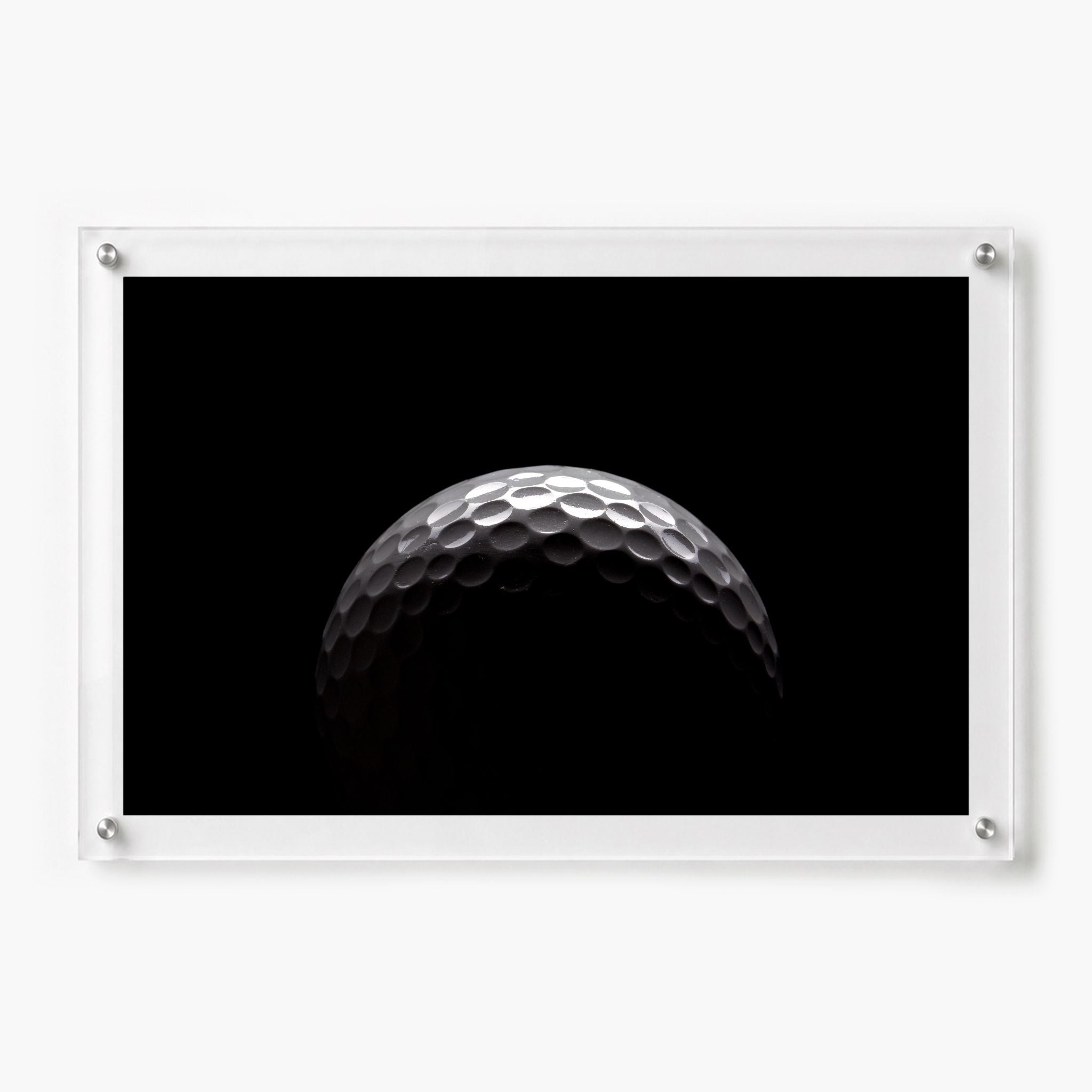 Midnight Mulligan Acrylic Wall Art Print