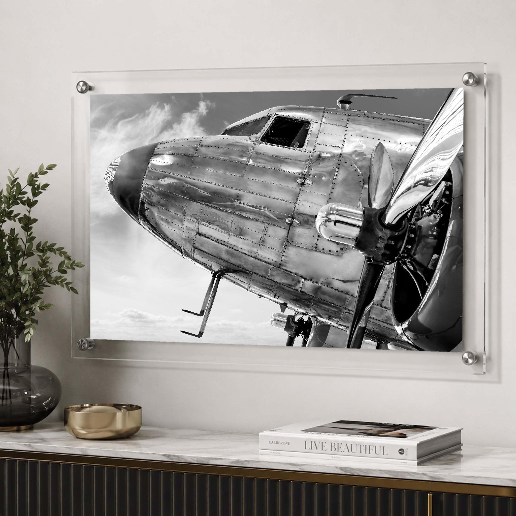 Plane and Simple Acrylic Wall Art Print
