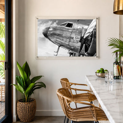 Plane and Simple Acrylic Wall Art Print
