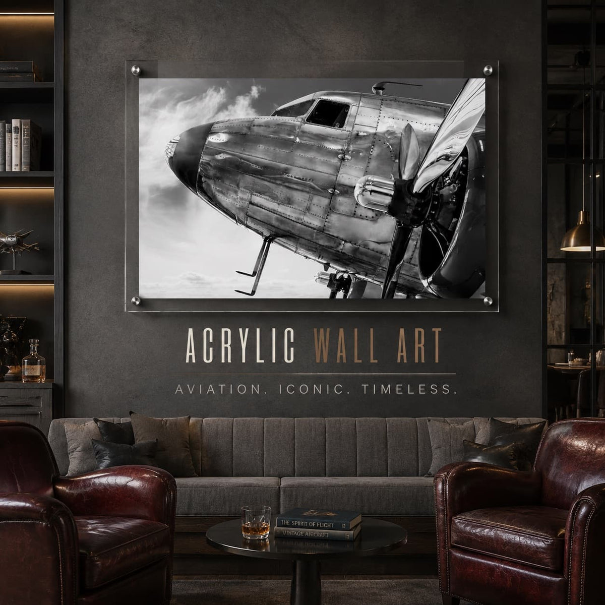 Plane and Simple Acrylic Wall Art Print