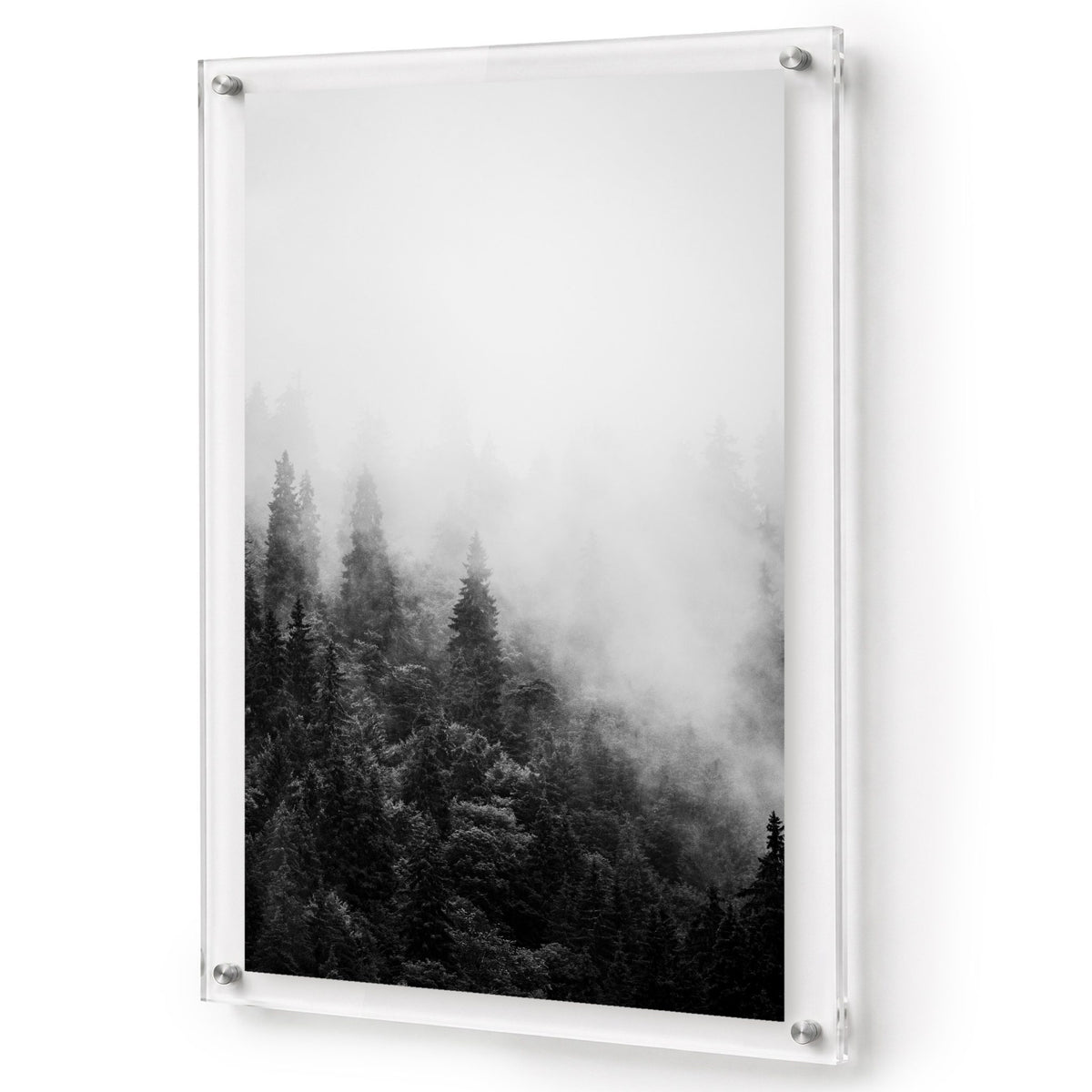 Forest on Mute black and white acrylic wall art featuring a misty evergreen forest