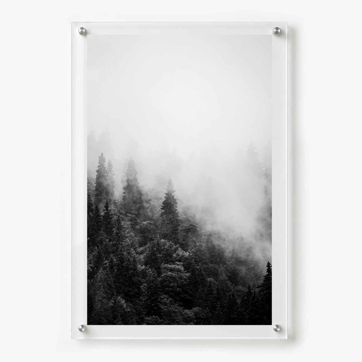Forest on Mute wall art featuring a serene black and white forest scene