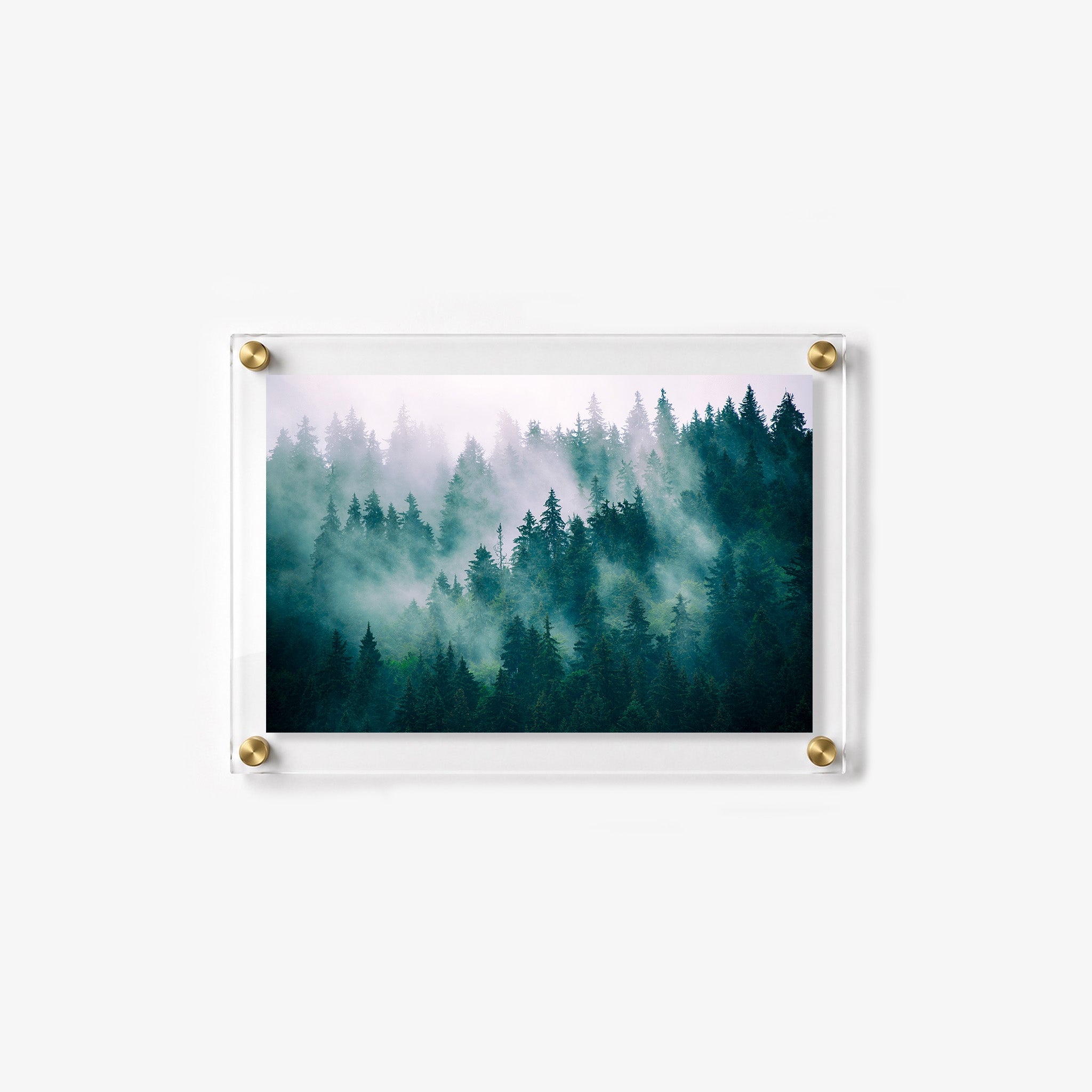 Serene pine forest wall art 