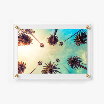Palm tree canopy artwork with sunset tones and turquoise clouds