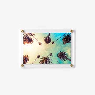 Golden hour palms acrylic wall art with tropical trees 