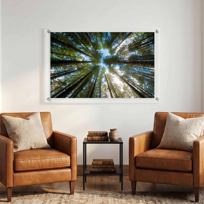 Nature wall art showing a dense green forest canopy displayed in between two brown armchairs