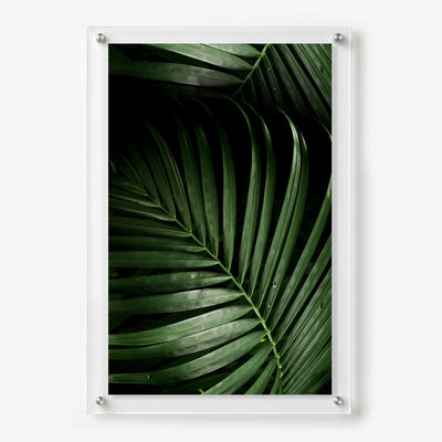 Dark green palm leaves displayed as acrylic wall art 