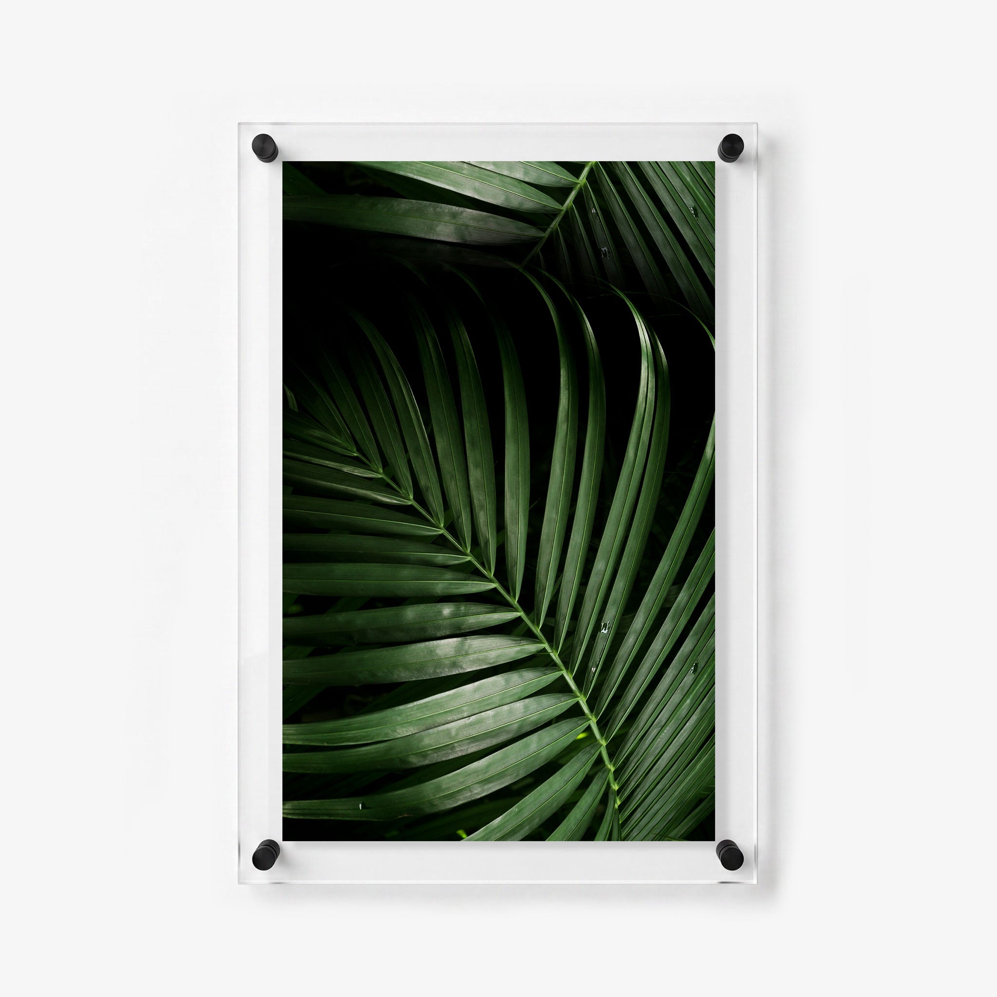 Vertical acrylic print showcasing detailed palm leaves