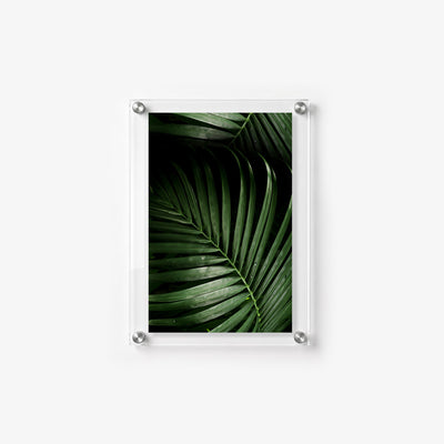 Modern botanical print with rich green palm fronds mounted on clear acrylic