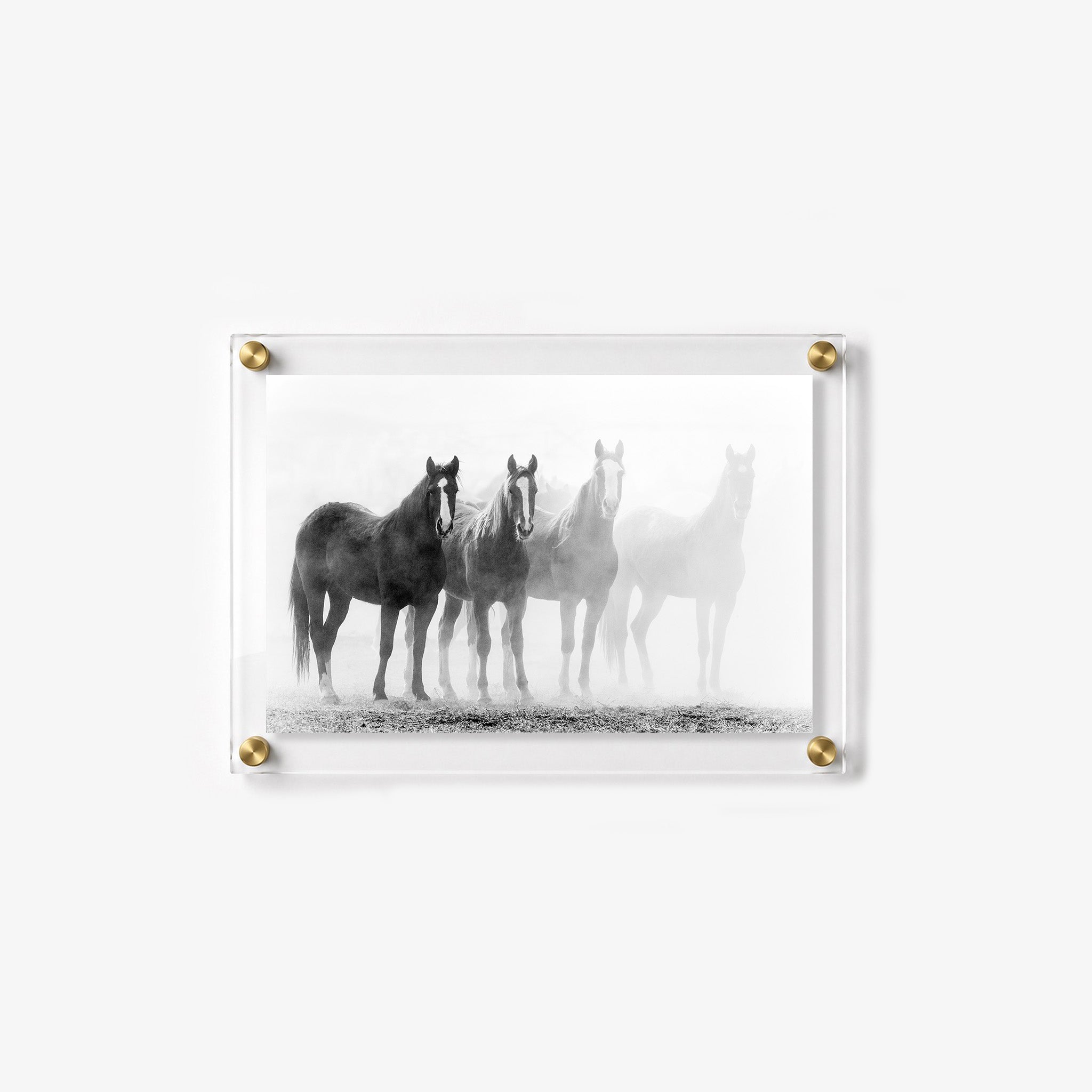 Rustic equestrian wall art featuring a herd of horses in a fog covered pasture