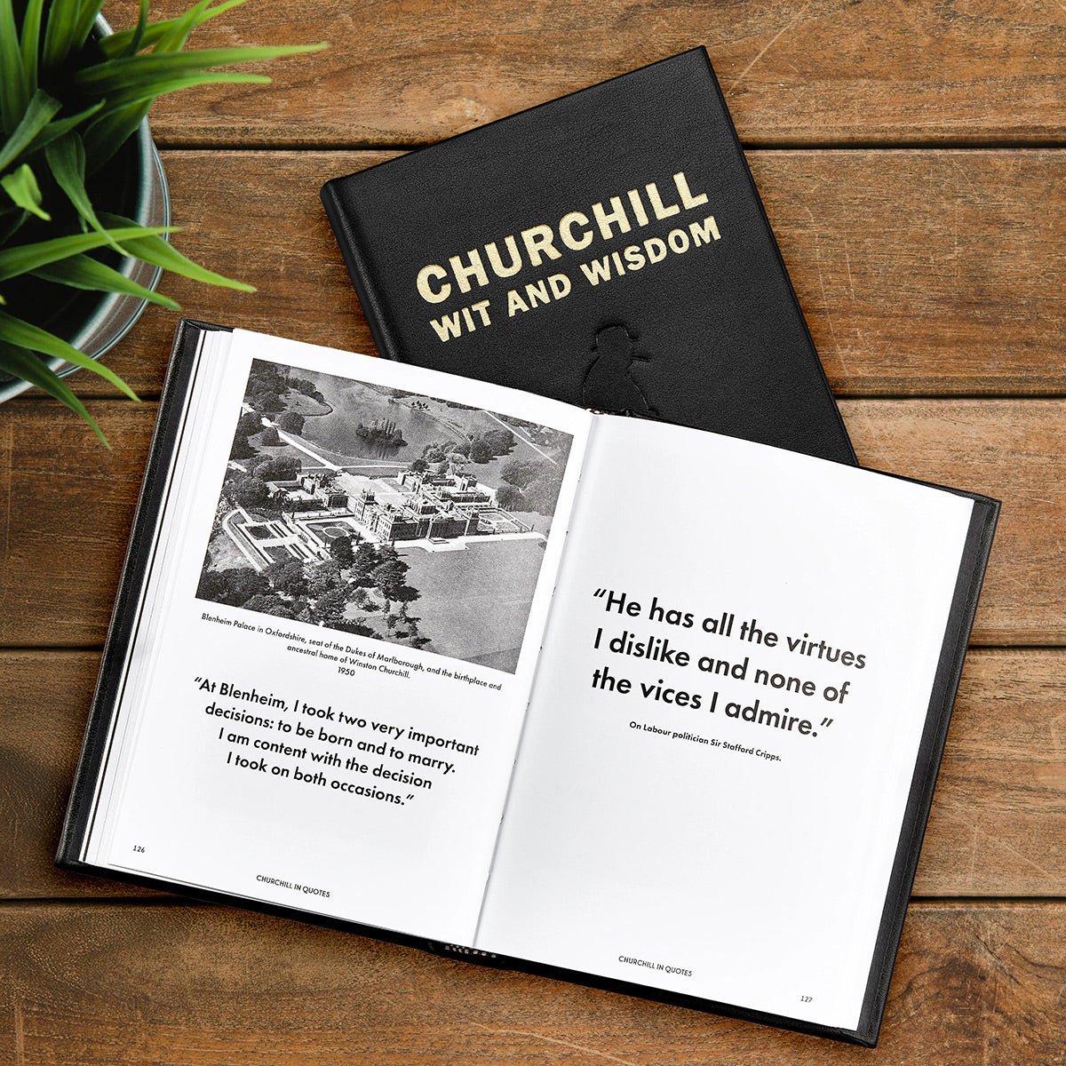 Churchill Wit and Wisdom - Coffee Table Book, Leather Bound