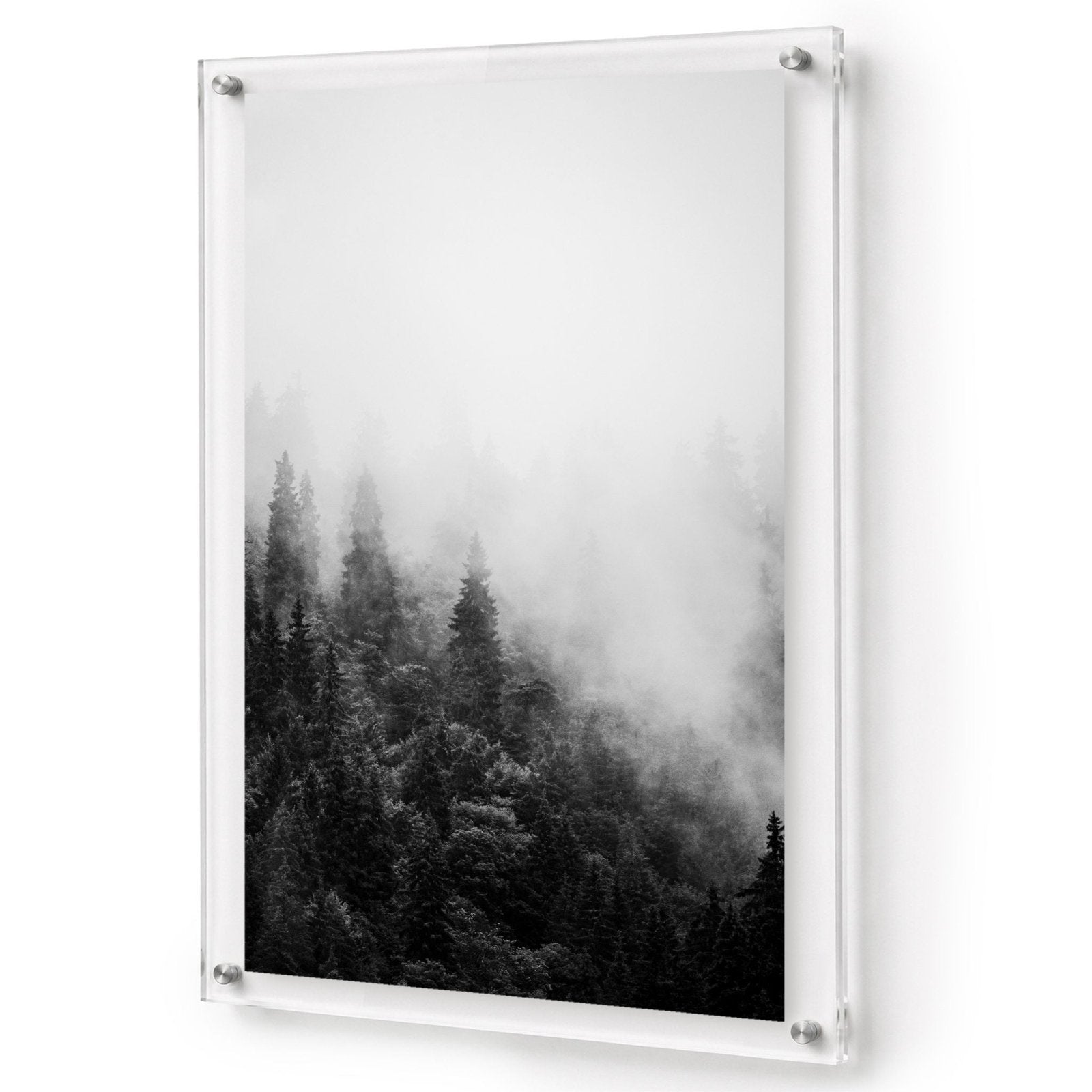 Forest on Mute Black & White Acrylic Wall Art Print