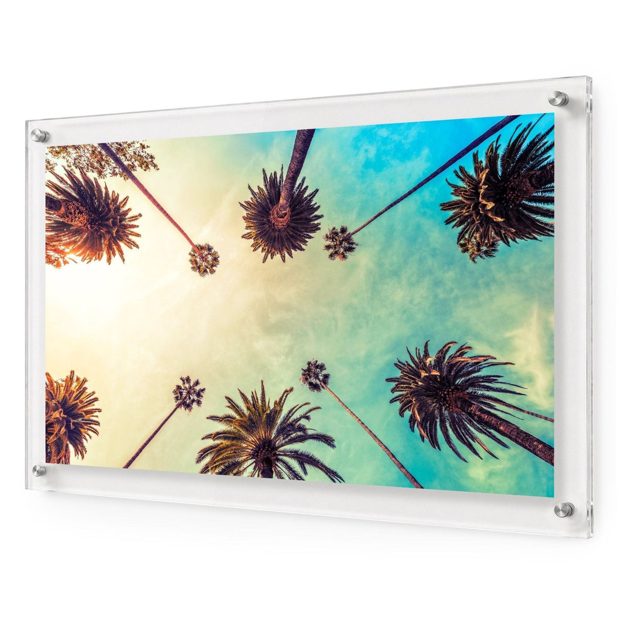 Golden Hour Palms Acrylic Wall Art Print