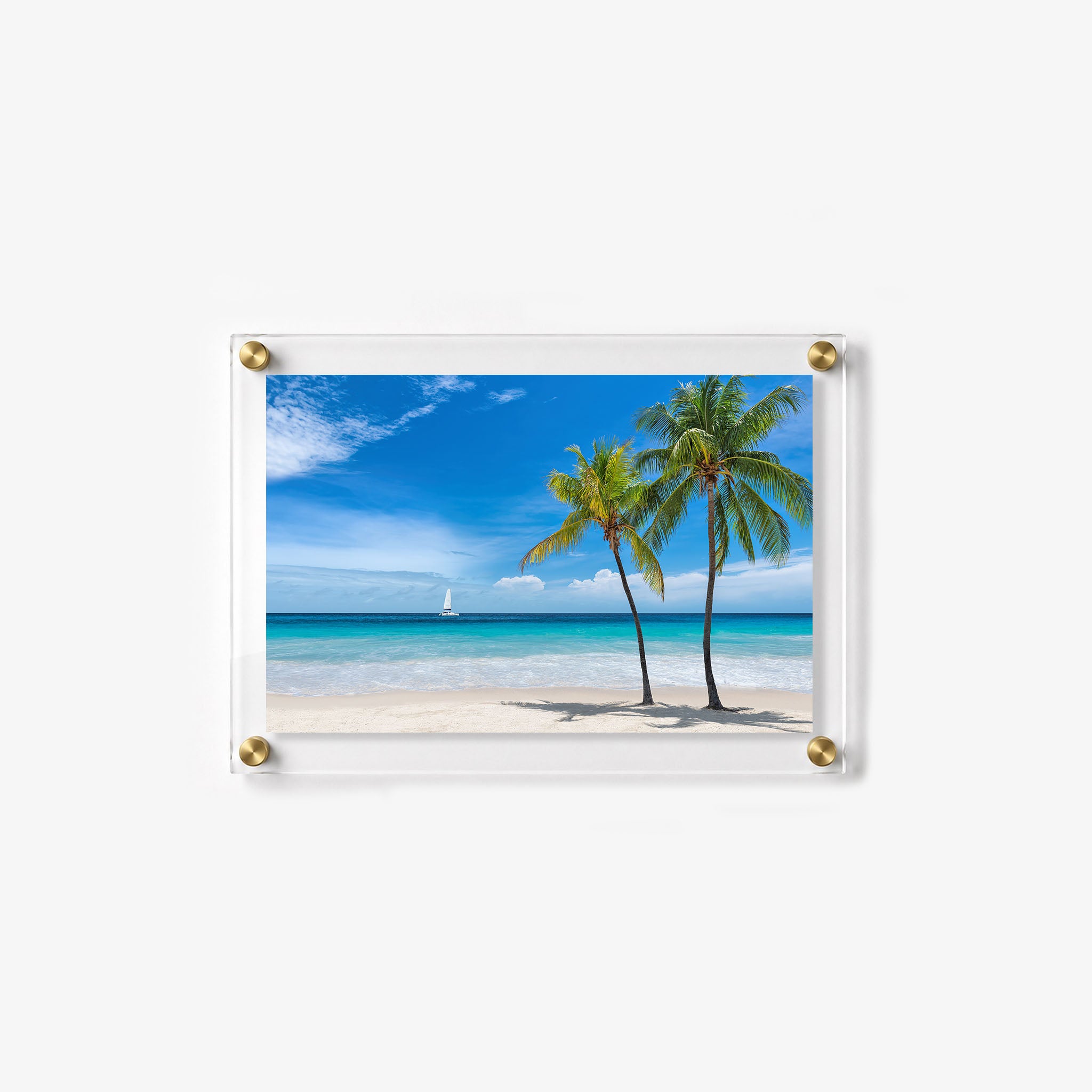 Sunny tropical beach with two palm trees 