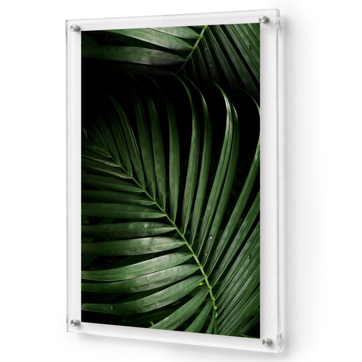 Midnight Palm Acrylic Wall Art Print