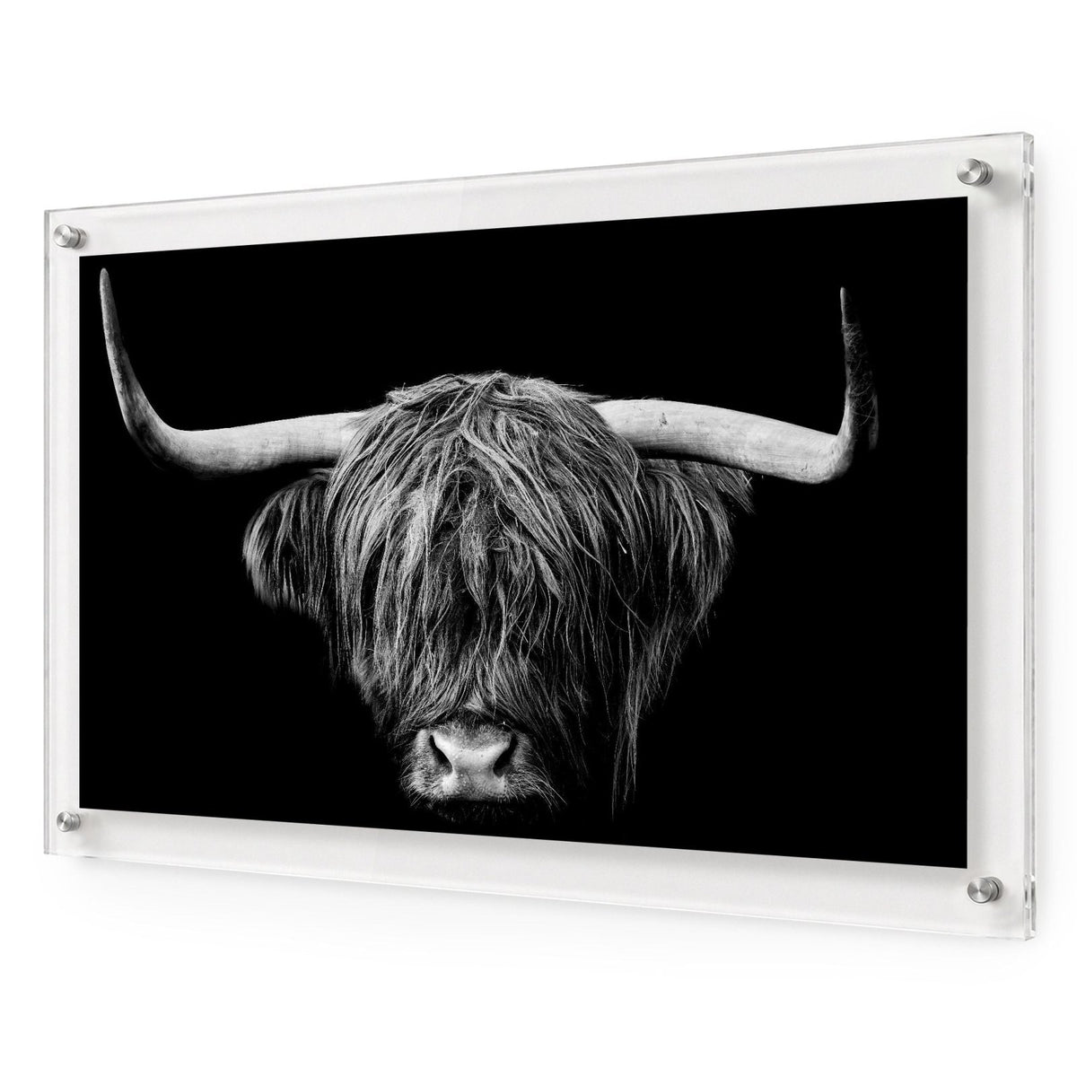 The Highlander Black & White Acrylic Wall Art Print