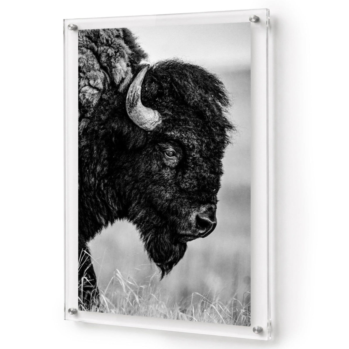 The Lookout Black & White Acrylic Wall Art Print