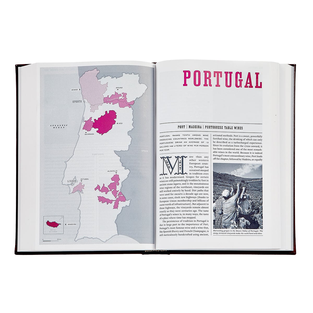 The Wine Bible, Personalized Burgundy Leather Bound Book