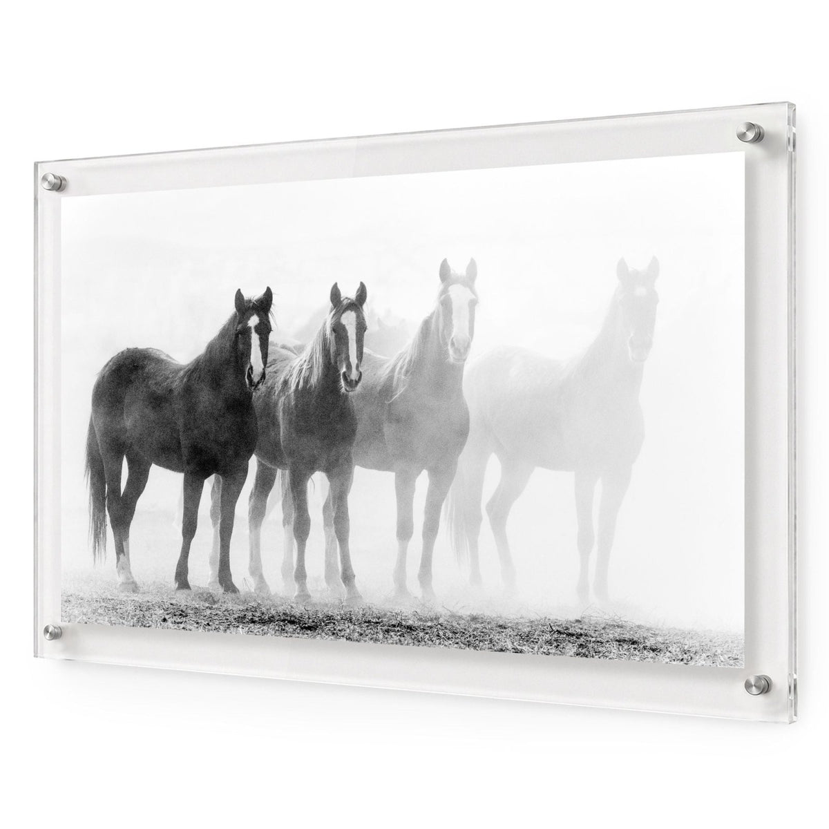 Through the Mist Black & White Acrylic Wall Art Print