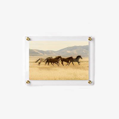 Herd of brown, gray, and white horses wall art