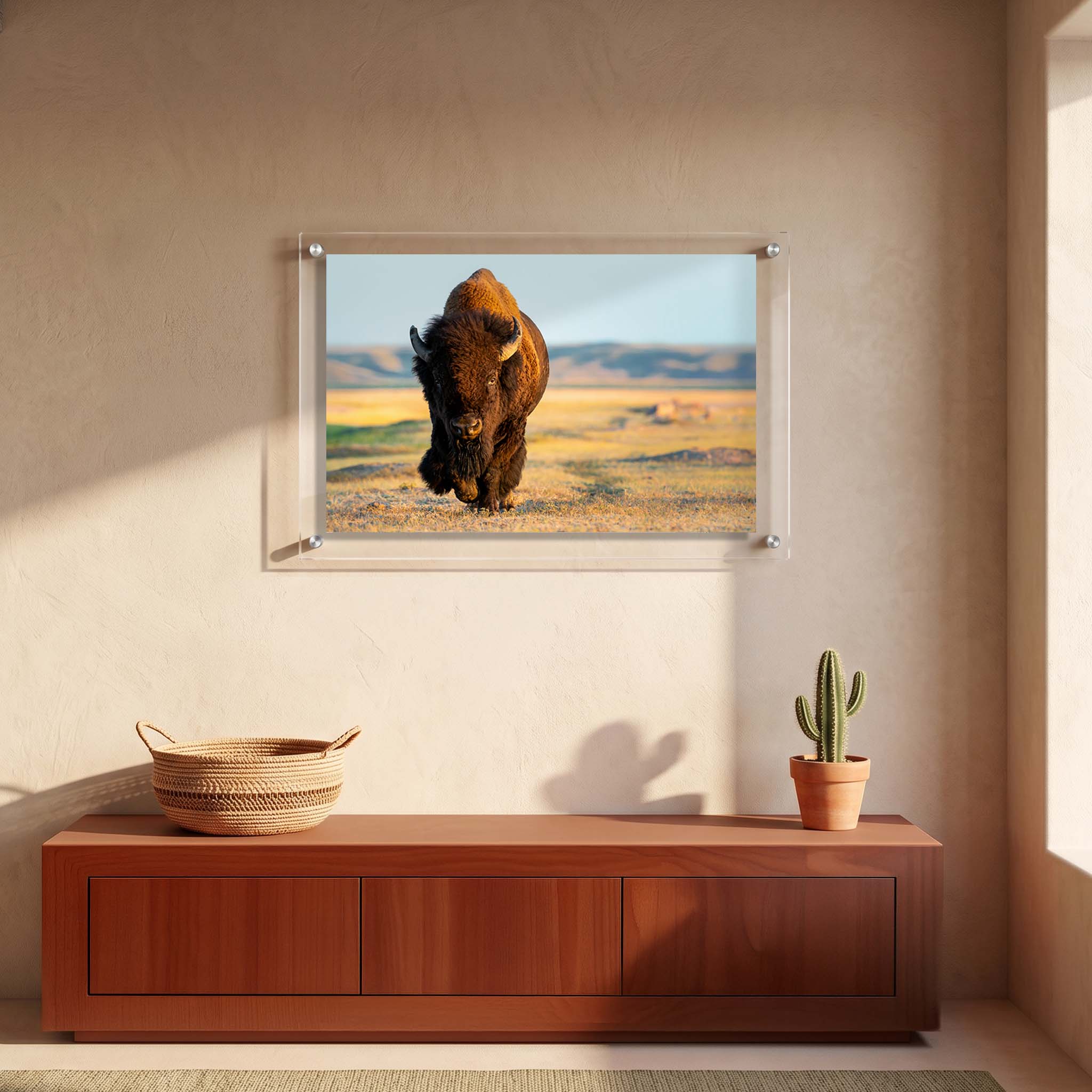 Acrylic wall art featuring a large bison standing on a wide prairie displayed in an entryway
