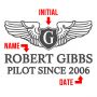 Take Flight Pilotwings Custom Rocks Glasses, Set of 4
